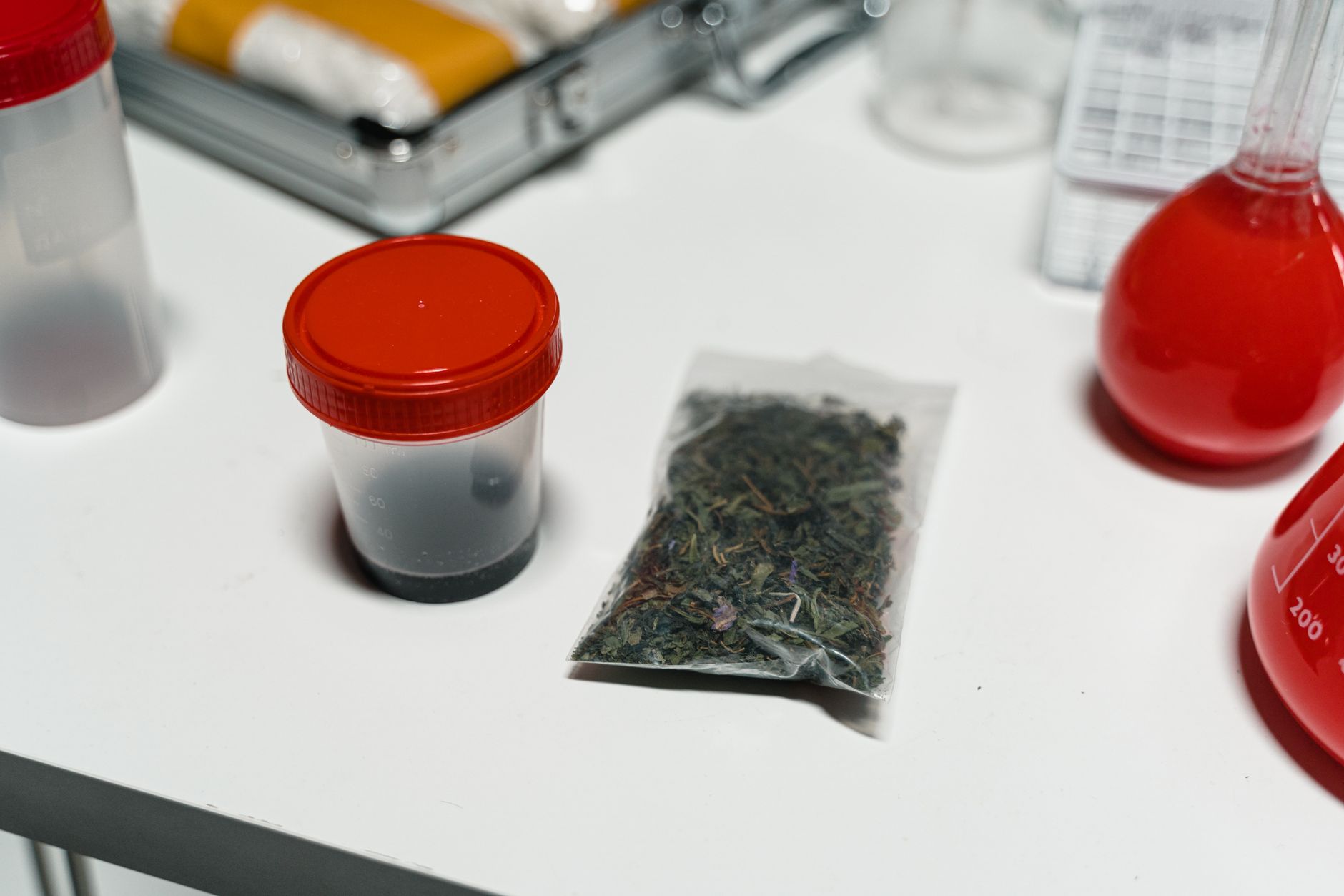 Home-dehydrated fruits and vegetables in clear vacuum-sealed bags on a kitchen counter