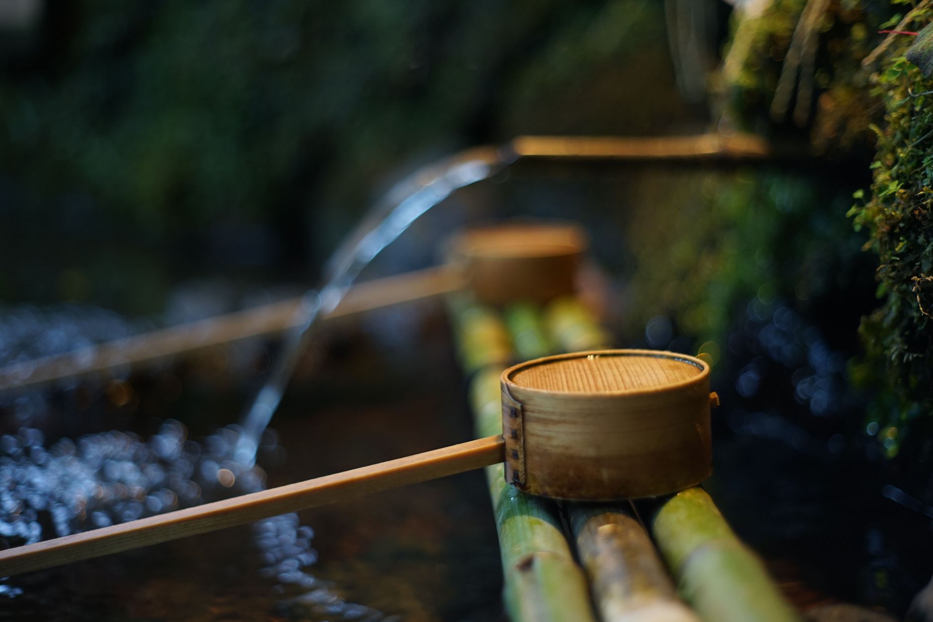 Pot of water boiling over an open fire for emergency purification